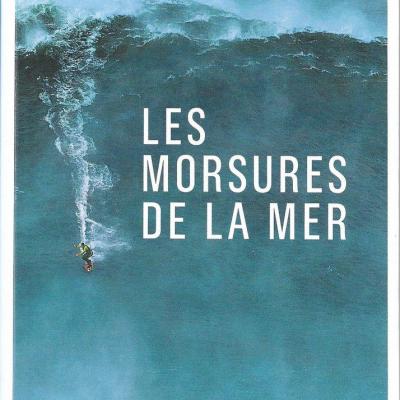 Les morsures de la mer Garrett Mcnamara